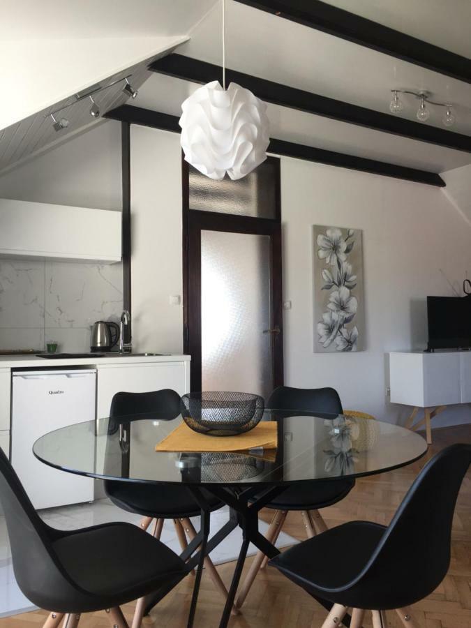 Apartman Studio Sonas 3 With Free Private Parking Karlovac Zewnętrze zdjęcie